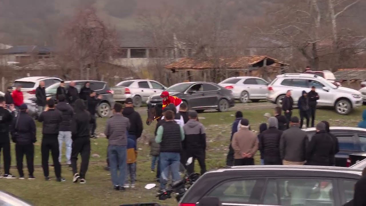 Pankisi Dogi 21.03.2026