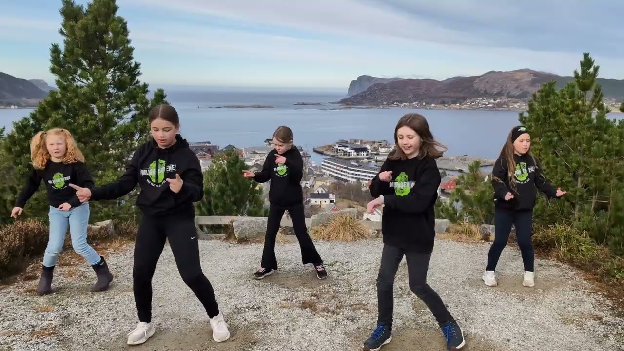 Milj&oslash;dansen musikkvideo