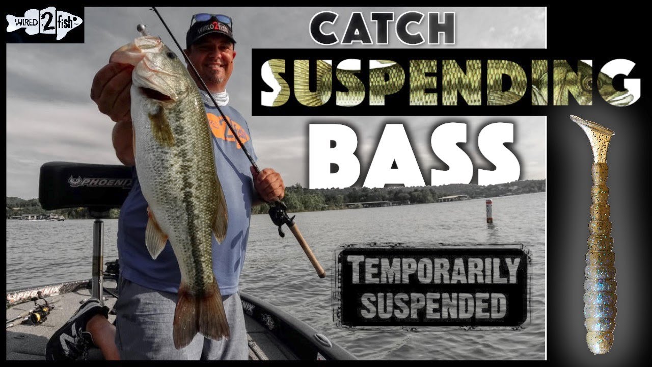 My Favorite Swimbait Technique for Suspending Bass