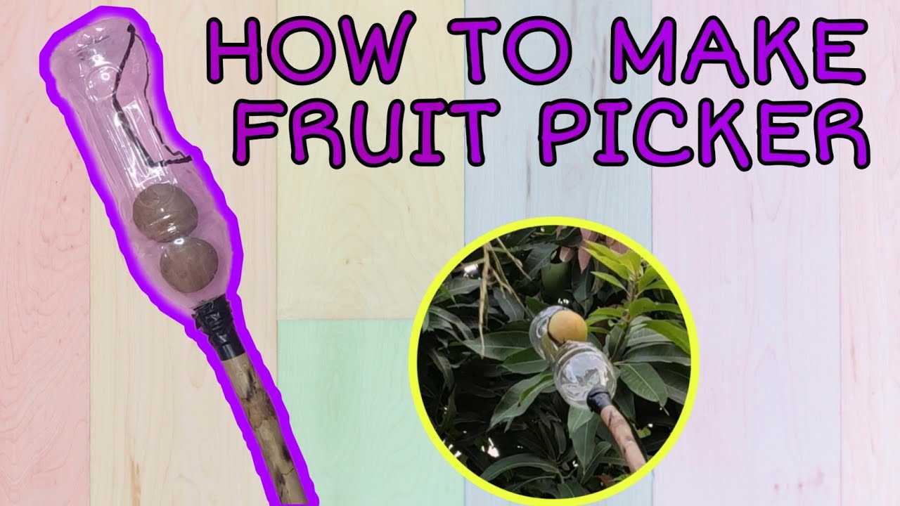 HOW TO MAKE A FRUIT PICKER | MANGO | GUAVA