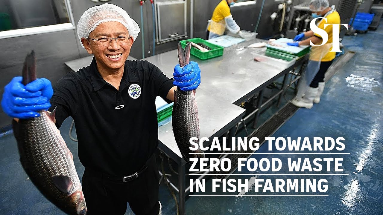 Scaling towards zero food waste in fish farming | The Fish Farmer | Live More, Waste Less
