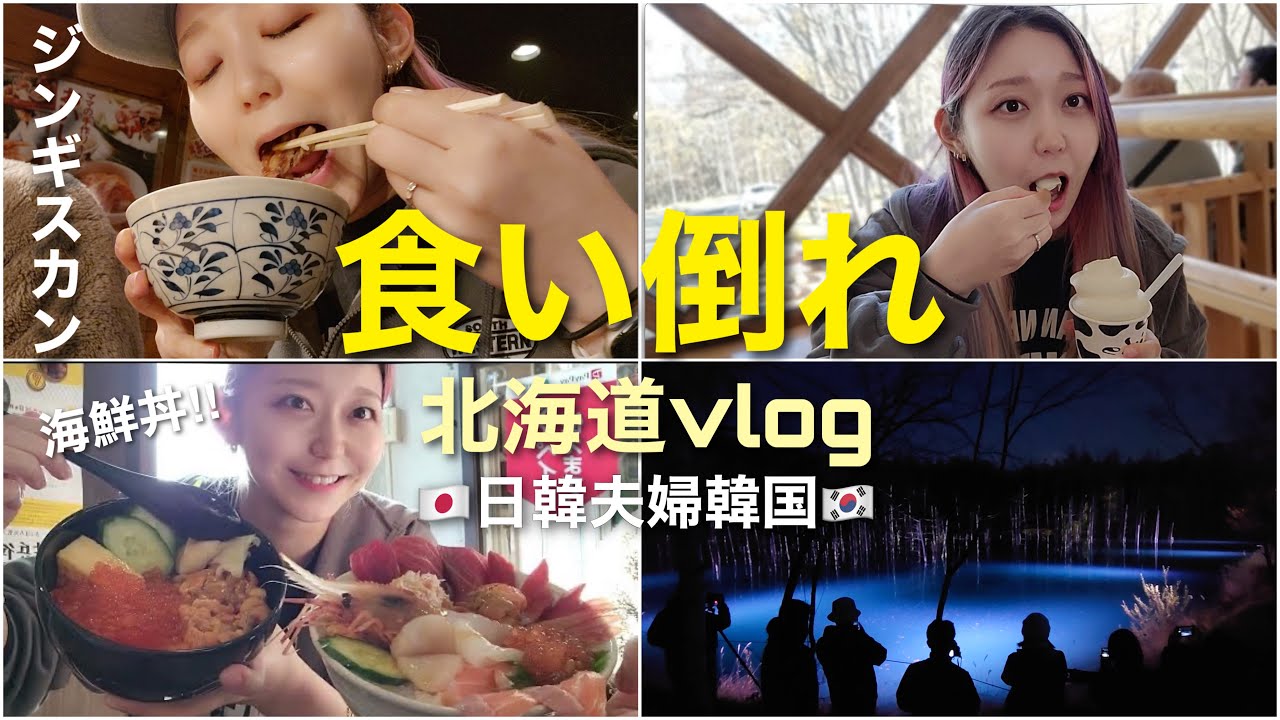 【日韓夫婦】北海道vlog.2!!レンタカー借りて海鮮丼・ソフトクリーム・牛乳・ピザ・ジンギスカン食べまくりの旅行！【モッパン】