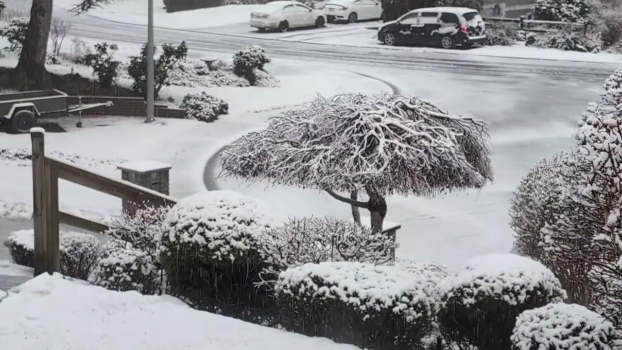 Snow. Campbell River.