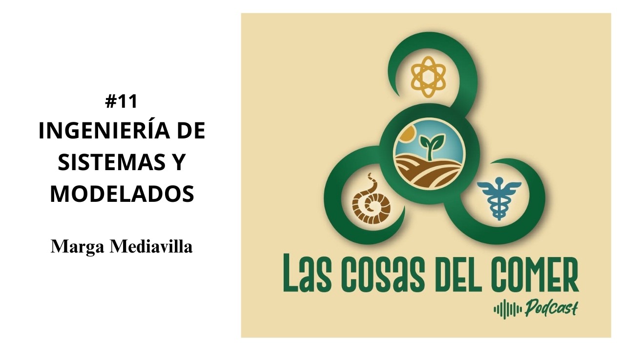 #11 INGENIERÍA DE SISTEMAS Y MODELADOS con Marga Mediavilla, 2-03-2026