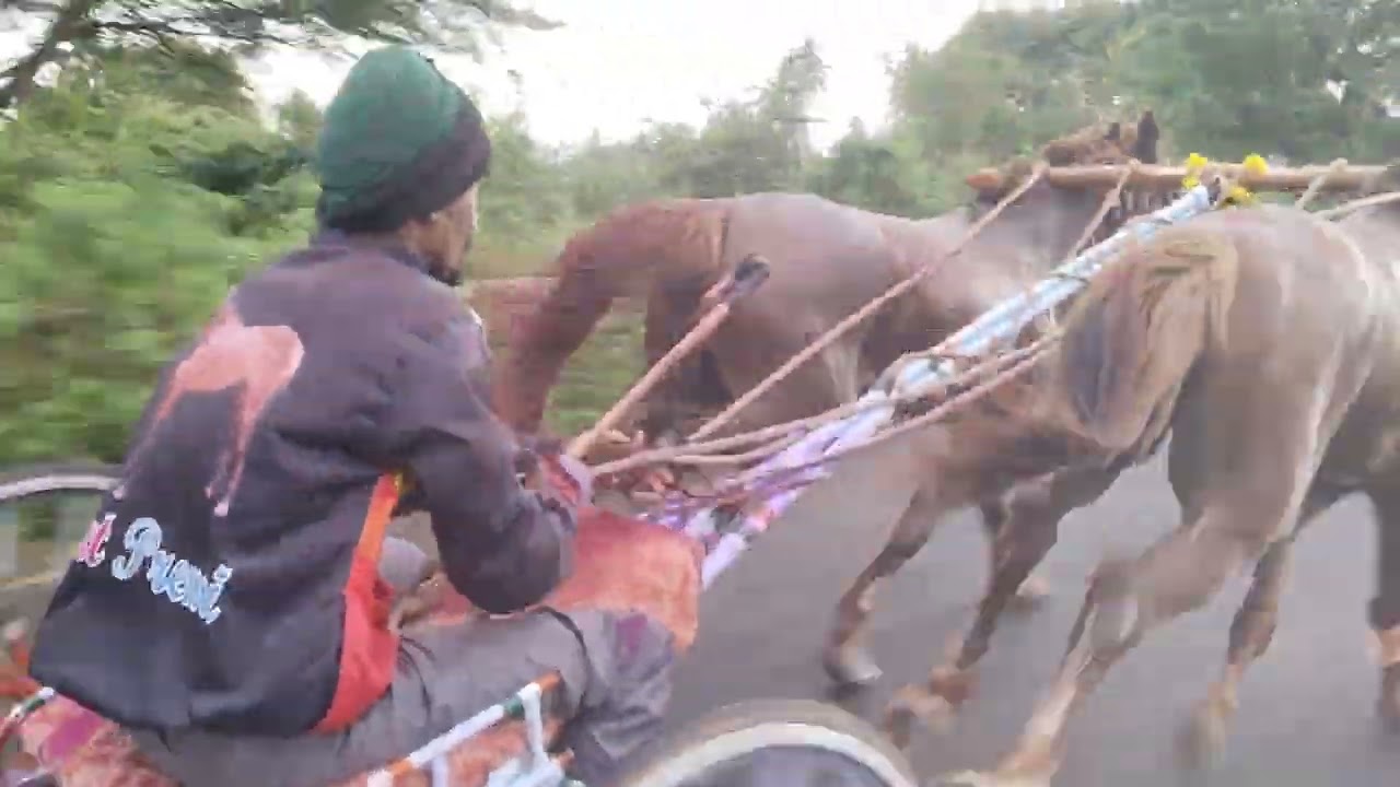 ಹುಕ್ಕೇರಿ ತಾಲೂಕು ರಕ್ಷಿ ಜನರಲ ಮೈದಾನ 11000