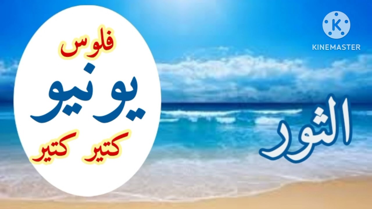 برج الثور يونيو(فلوس كتير.. كتير واسمع. كويس الطاقه الروحانيه. #يونيو_2024