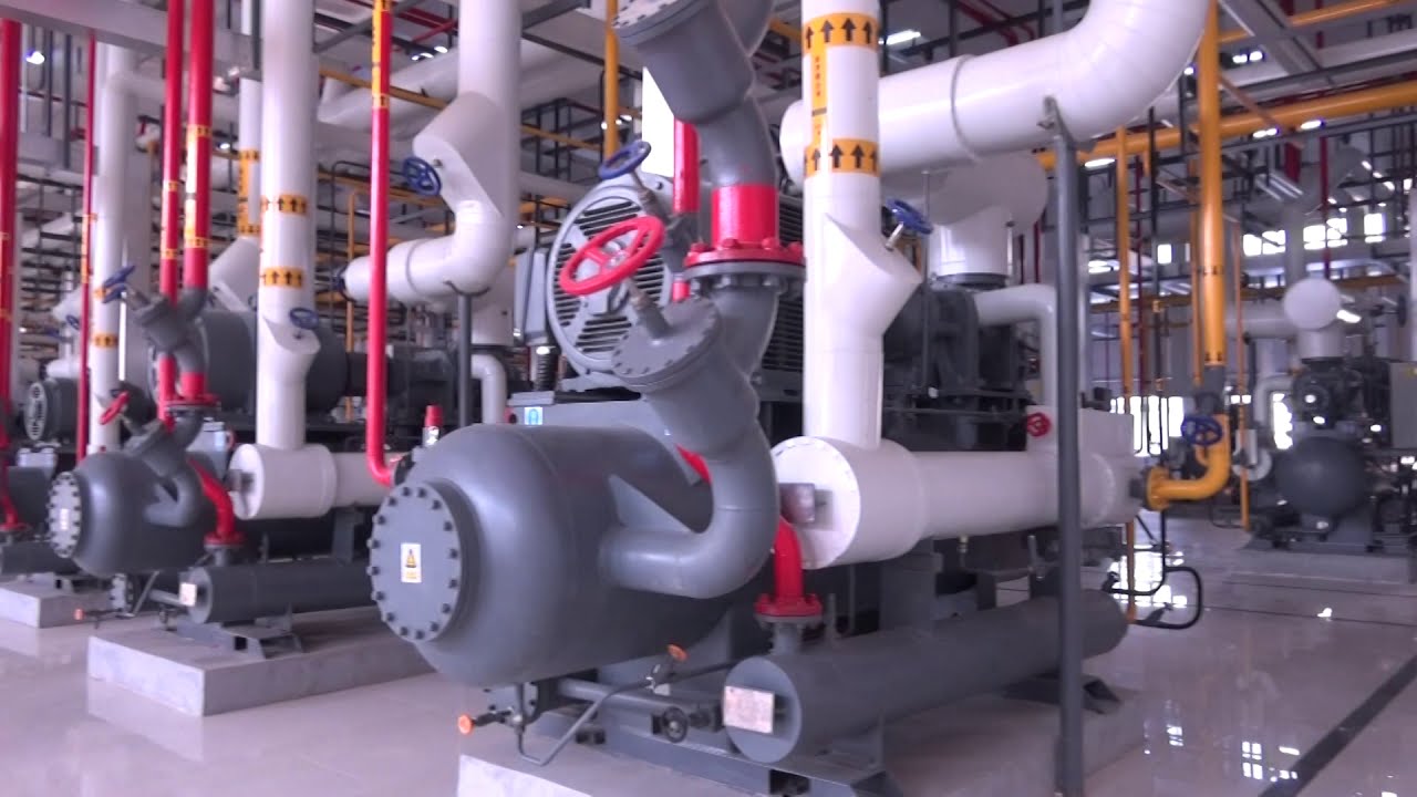Chicken processing plant with Moon-Tech ammonia/CO2 refrigeration system turnkey project