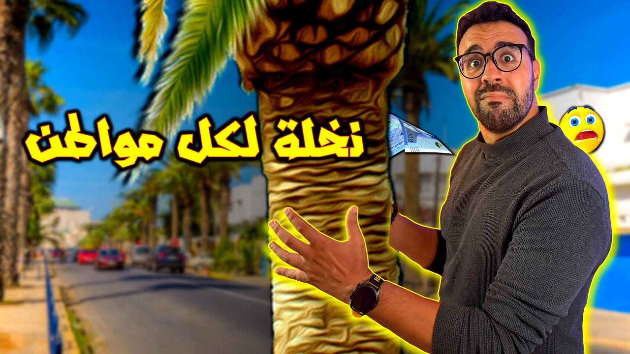 زراعة النخل بلاصة الشجر في كل المدن المغربية - شنو القصة ؟؟
