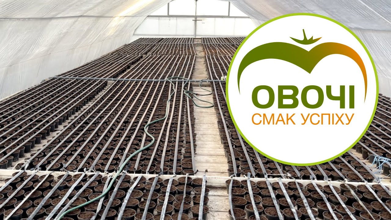 Розсадник. Як облаштувати. Частина 2 | Овочі.Смак успіху