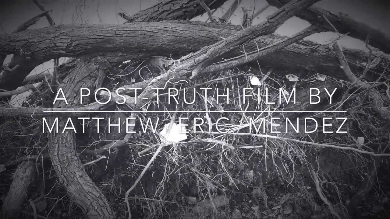 Dance of the Posthuman