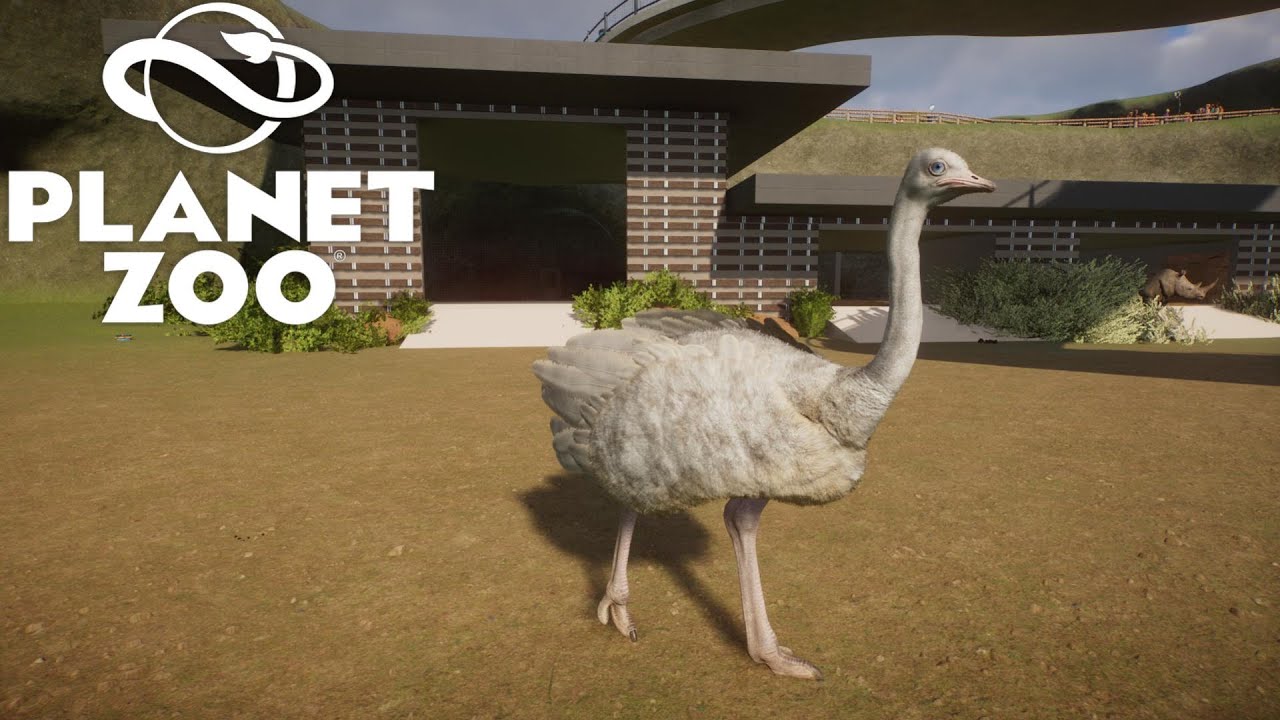 Decorating the Zoo Entrance! | Ep15 | Planet Zoo