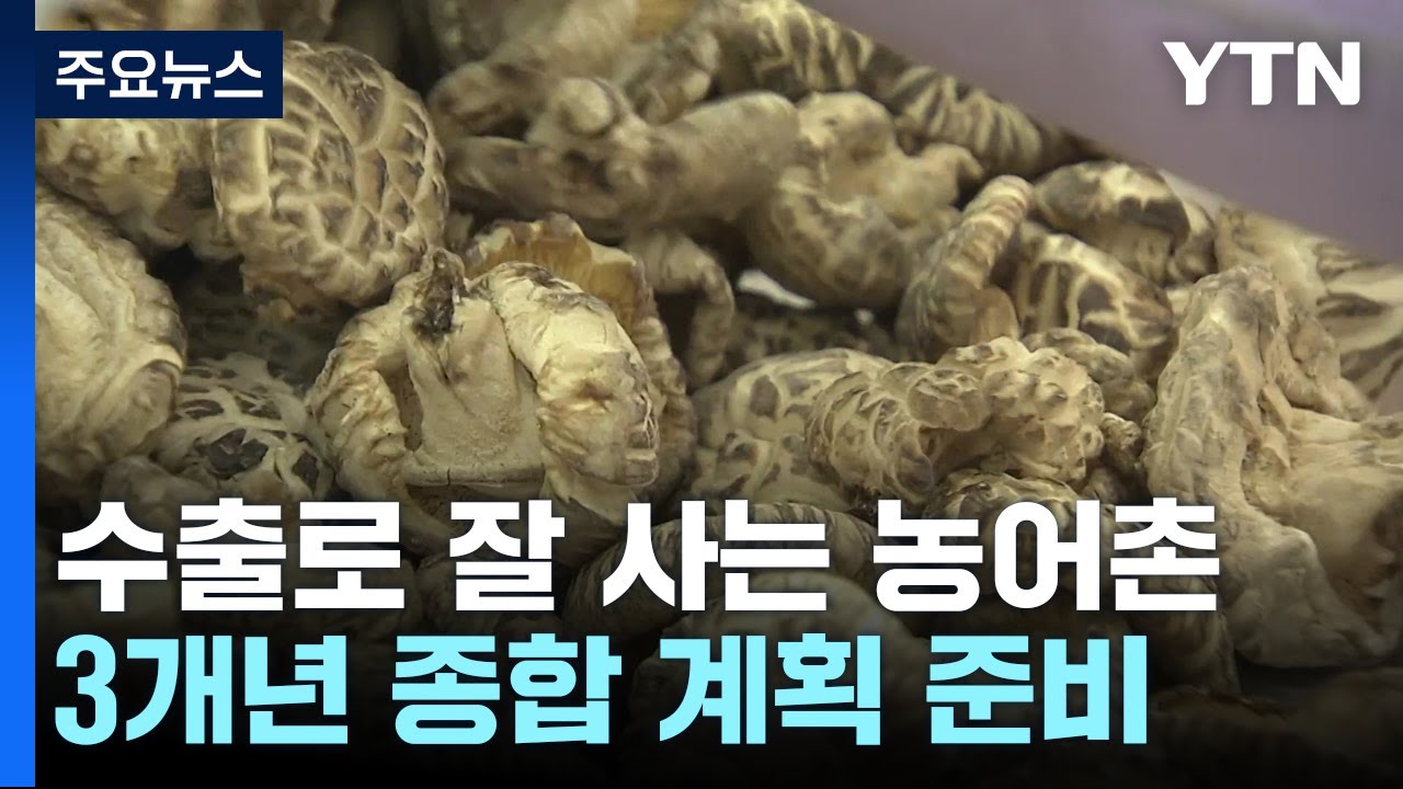 '수출로 잘 사는 농어촌'...장흥군, 3년 내 500억 목표 / YTN