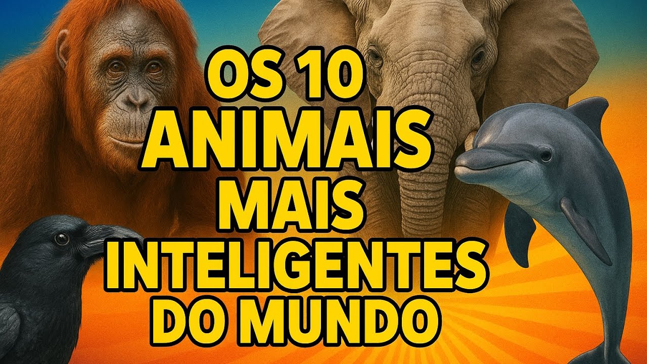 Os 10 Animais Mais Inteligentes do Mundo: Prepara-se para se Surpreender!