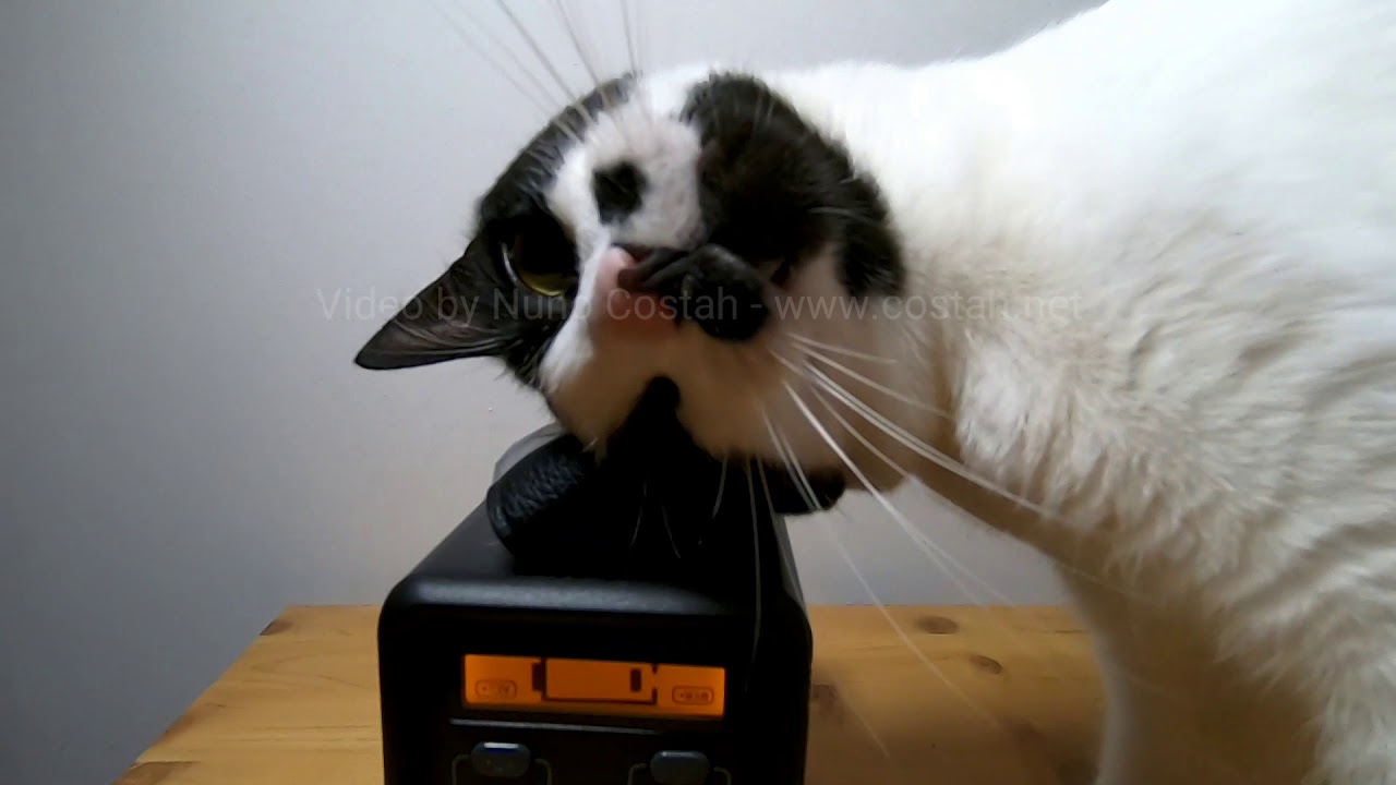 REVIEW! Beaudens portable power generator