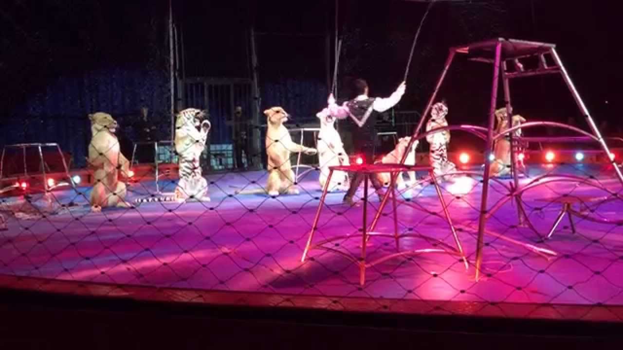 Natale al Circo a Firenze con Moira Orfei
