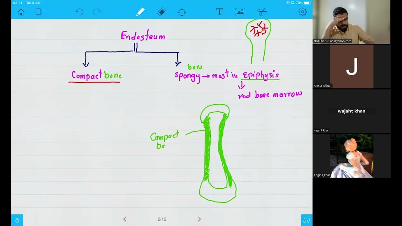 L 1 Mdcat Structure of bone and cartilage