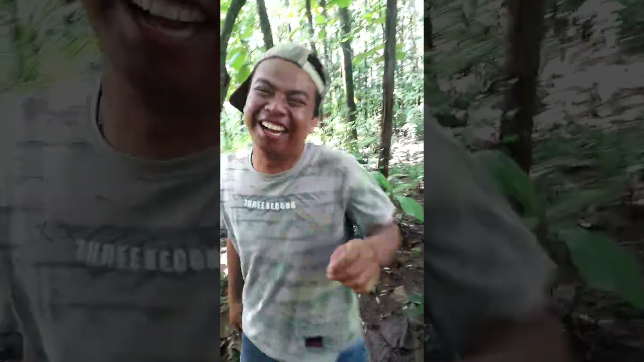 Evakuasi sarang tawo vespa lokasi di desa kerik takeran magetan jawa timur