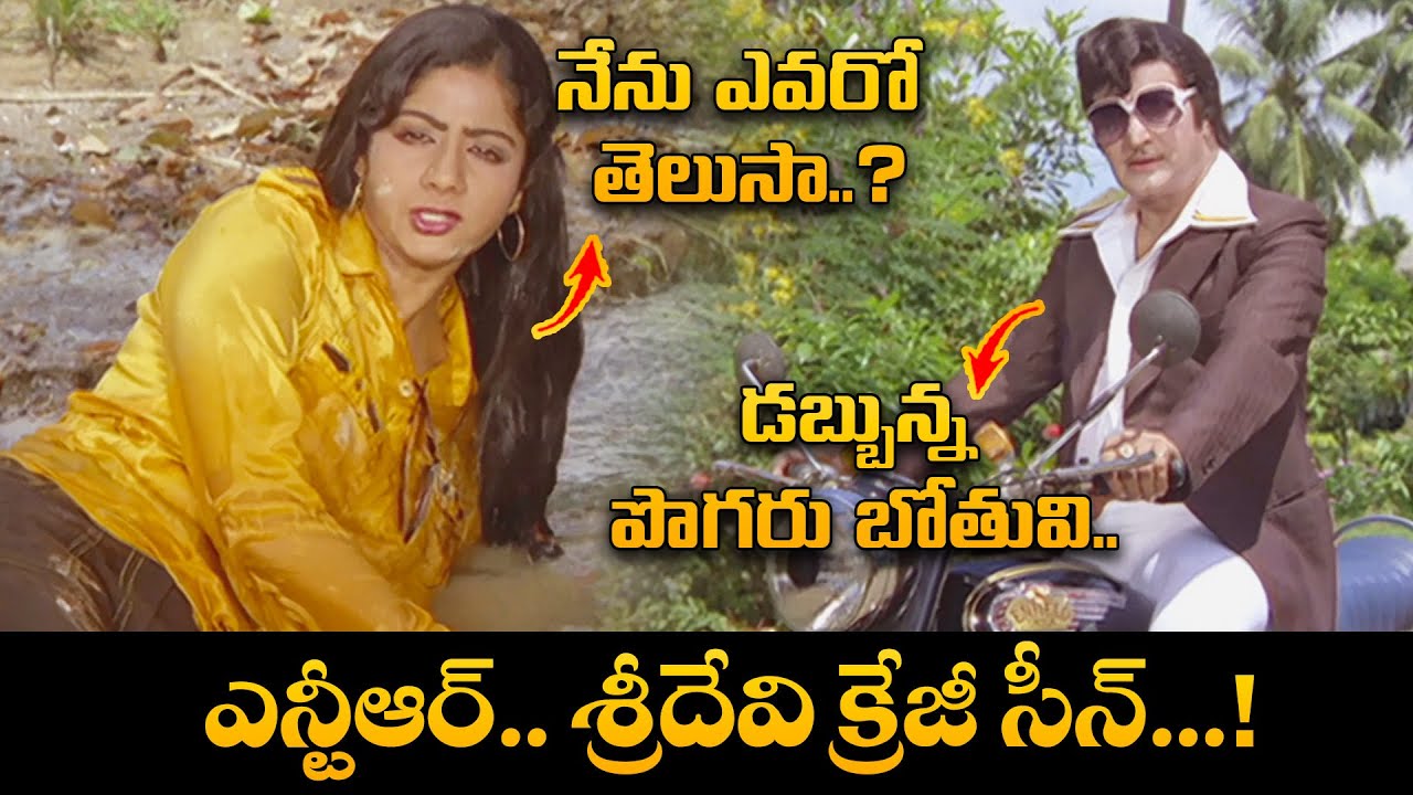 Best Sence in Sardar Paparayudu | N. T. Rama Rao | Sridevi | Sardar Paparayudu | ETV Cinema