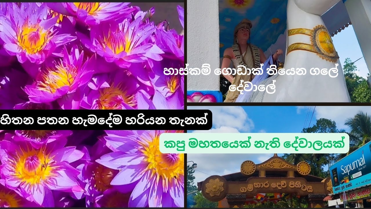 ගලේ දේවාලේ ගියා අදත් හාස්කම් ගොඩාක් තියෙන තැනක් 🙏#goviral # vedio #vlogger vlog