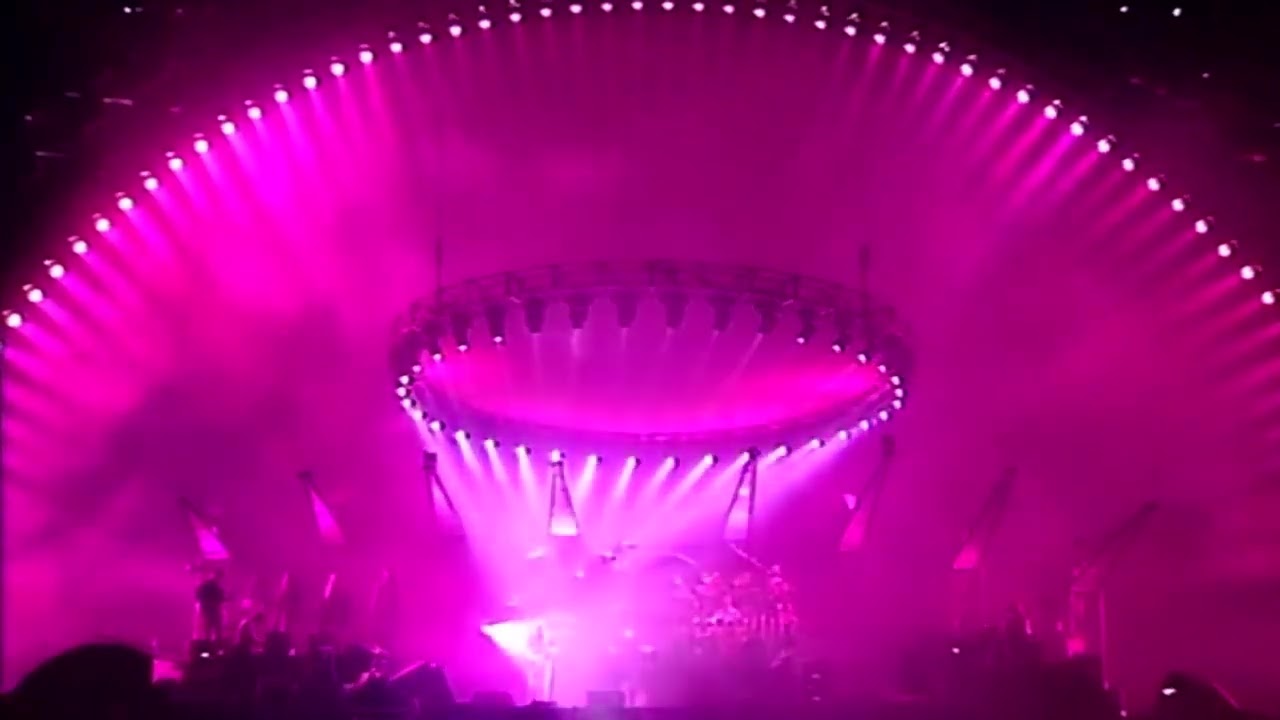 Comfortably numb best live 
