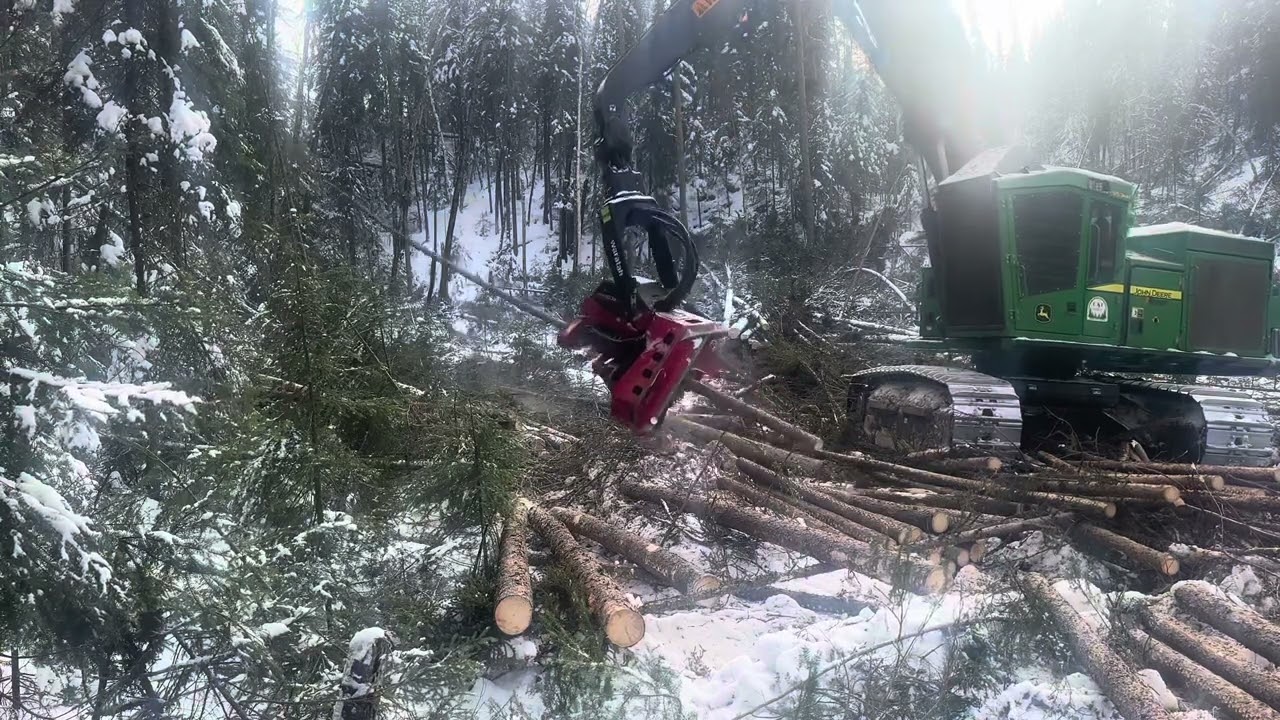 Waratah 622B||Northern Ontario logging