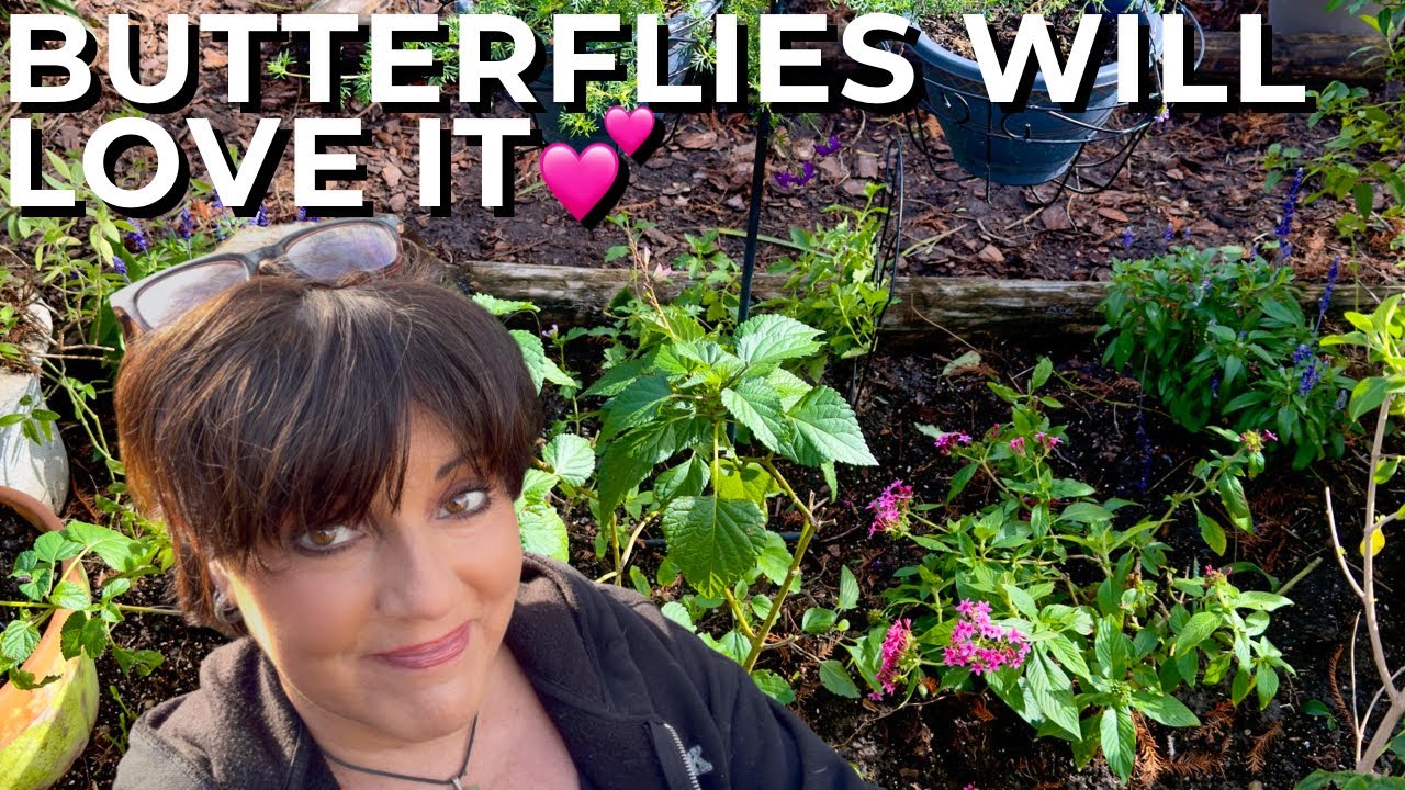 Finishing My Butterfly Garden Redesign & Planting Nectar-Rich Flowering Perennials 