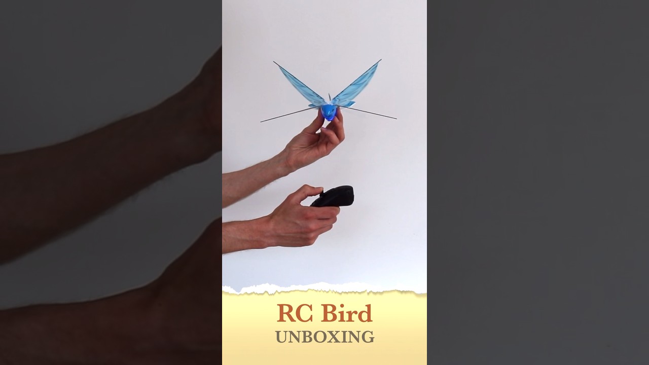 Micro RC Bird Unboxing