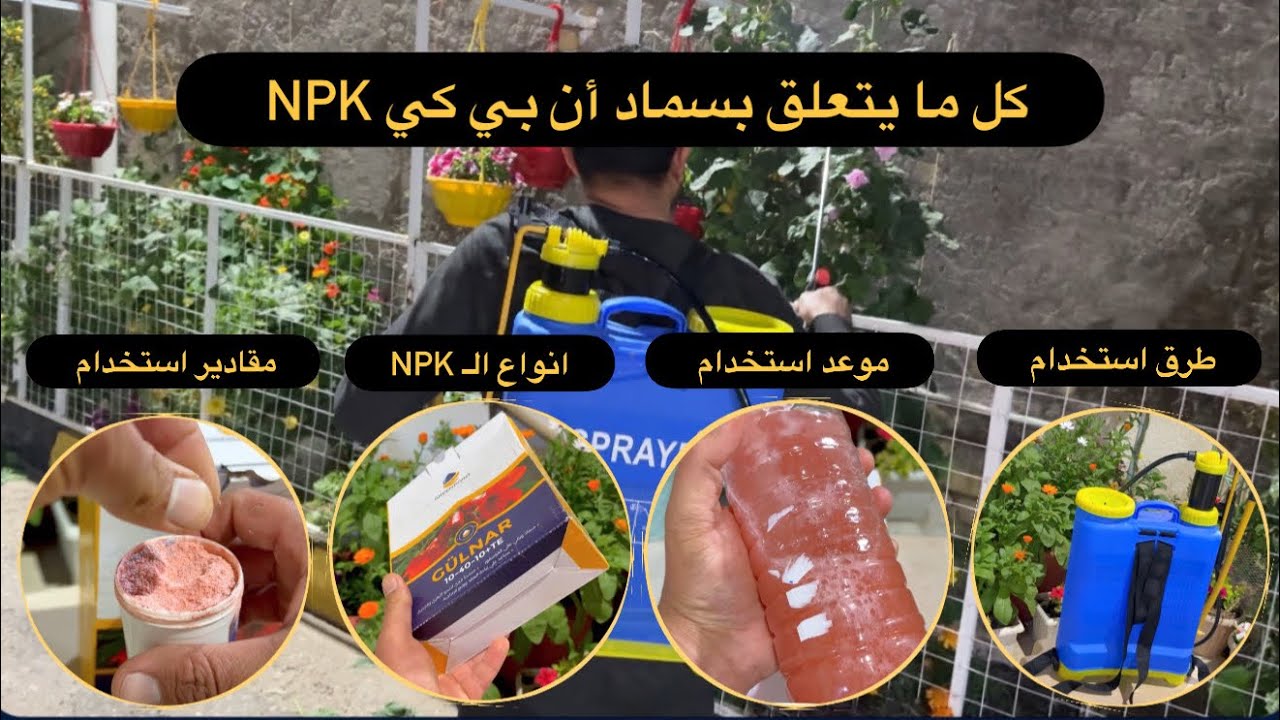 ماهو سماد أن بي كي NPK ؟ كيف استعمل سماد NPK؟ موعد استخدام NPK ؟ وقت استخدام NPK؟