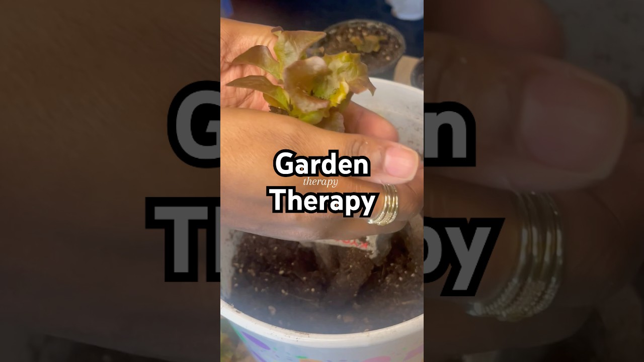 Gardening is therapy. ❤️ #zone7b  #thegardeningrealtor #gardeningtips #plants #gardeningismytherapy