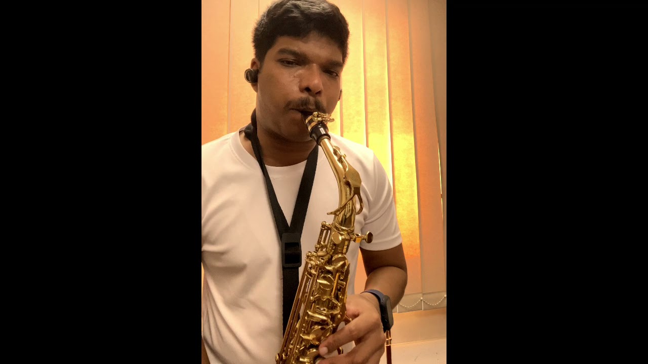 I Don’t Want To Talk About It - Blaise Silva (Alto Sax Cover)