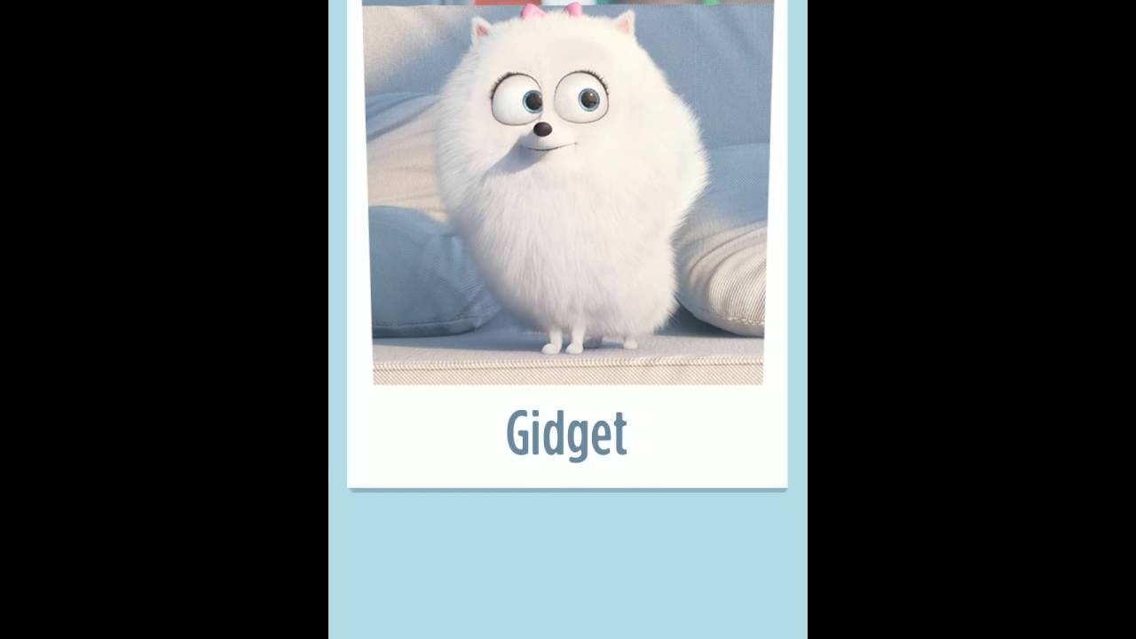 Pets Unleashed Brings Secret Life of Pets to Android ZTE ZMAX2