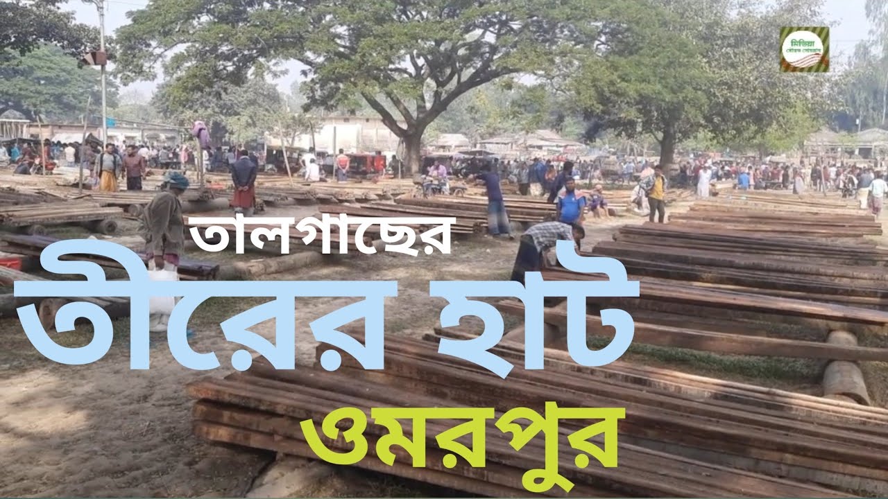 তাল গাছের তীরের হাট ওমরপুর। নন্দীগ্রাম, বগুড়া।