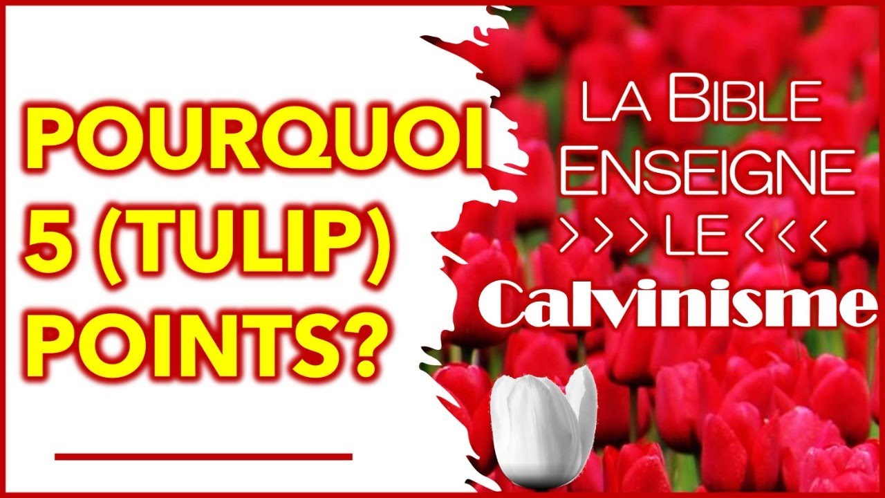 Pourquoi il-y-a-t-il 5 POINTS dans le CALVINISME?