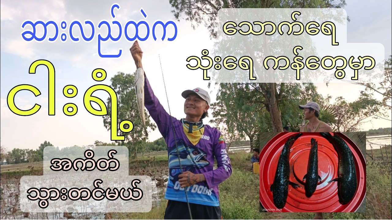 ခရီးထွက်ပီ ငါးရံ့ အကိတ်တင်ထားခြင်း Ep, 1 #vlogbykoaz #ငါးရံ့အကိတ်