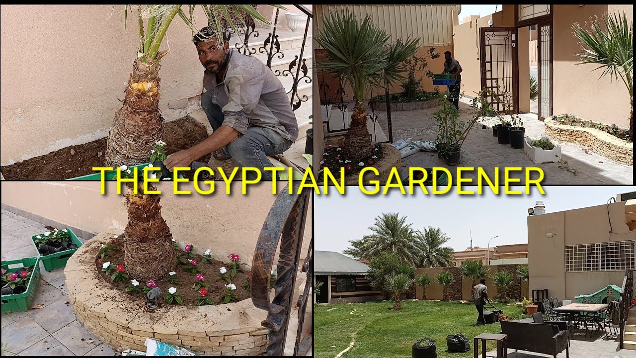 Egyptian gardener in Saudi Arabia