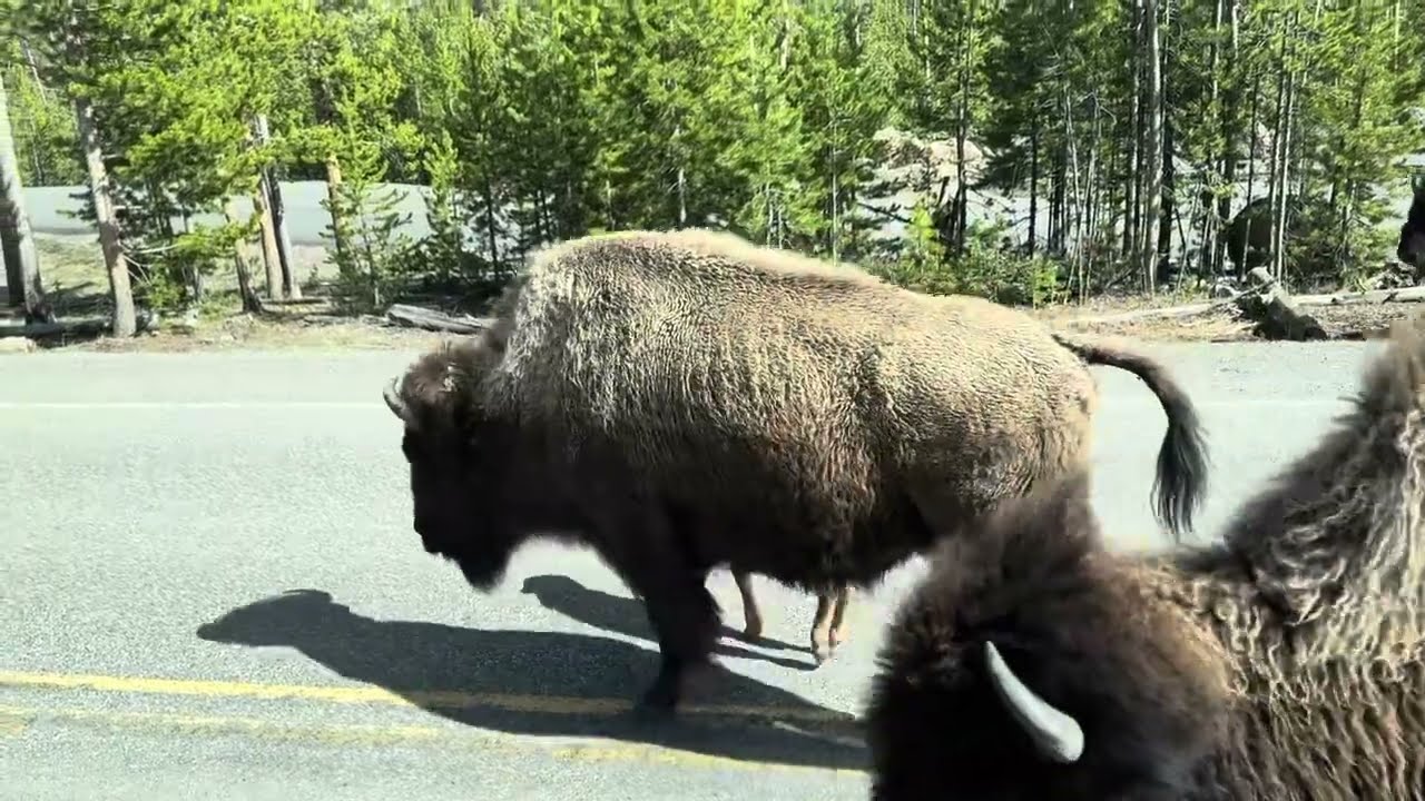 Colorado