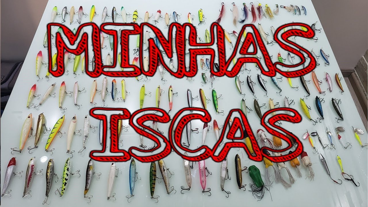 MINHAS ISCAS