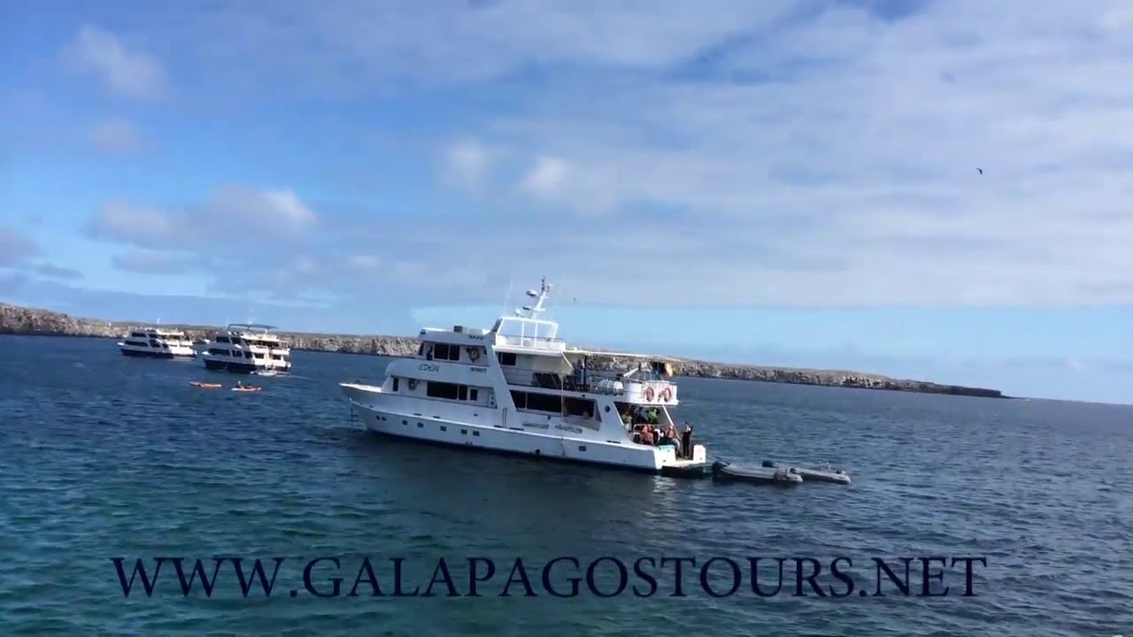 Genovesa Island | Tower Island  - Galapagos Islands Tours