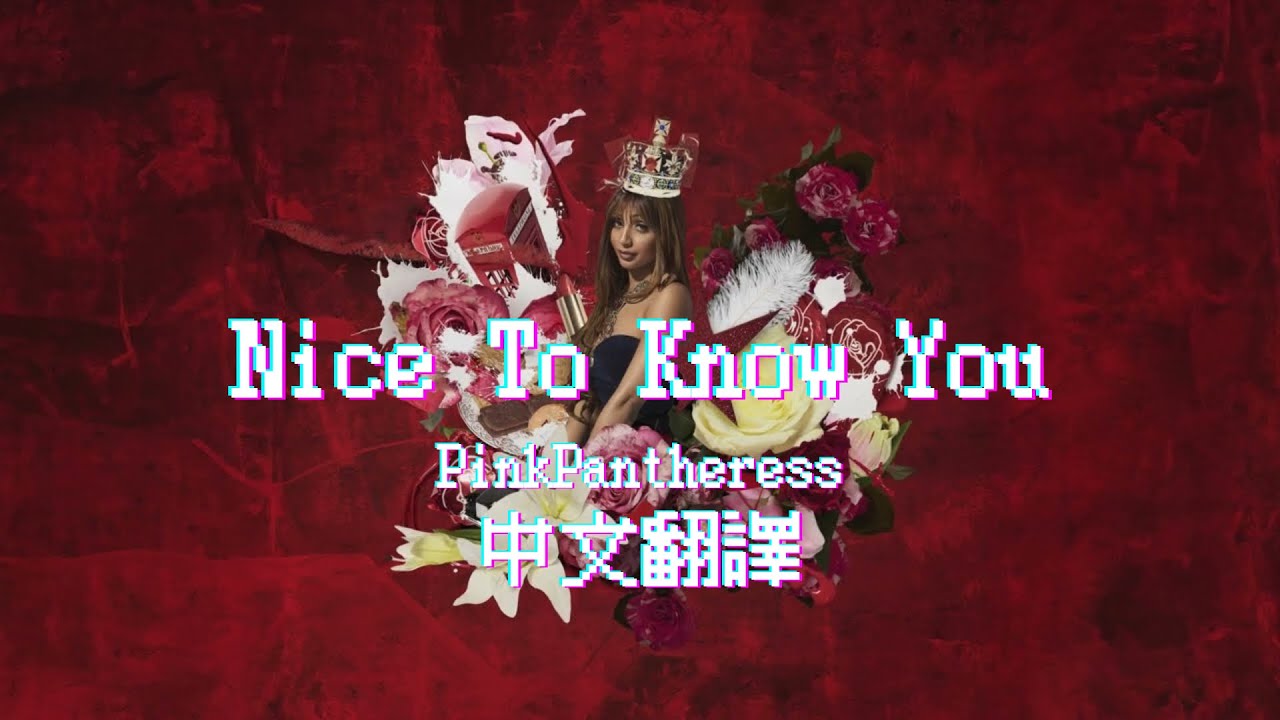 [中英文歌詞]Nice To Know You很高興認識你 - PinkPantheress |中文翻譯| MoonlightXOXO