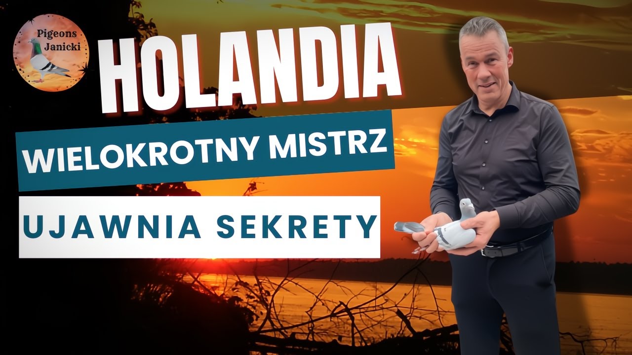Drugi najszybszy gołąb świata (100–600 km) i jego właściciel Holandia