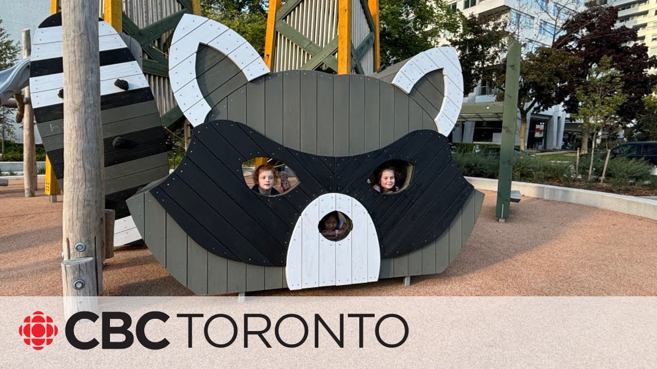 A look at Toronto’s new Raccoon Park