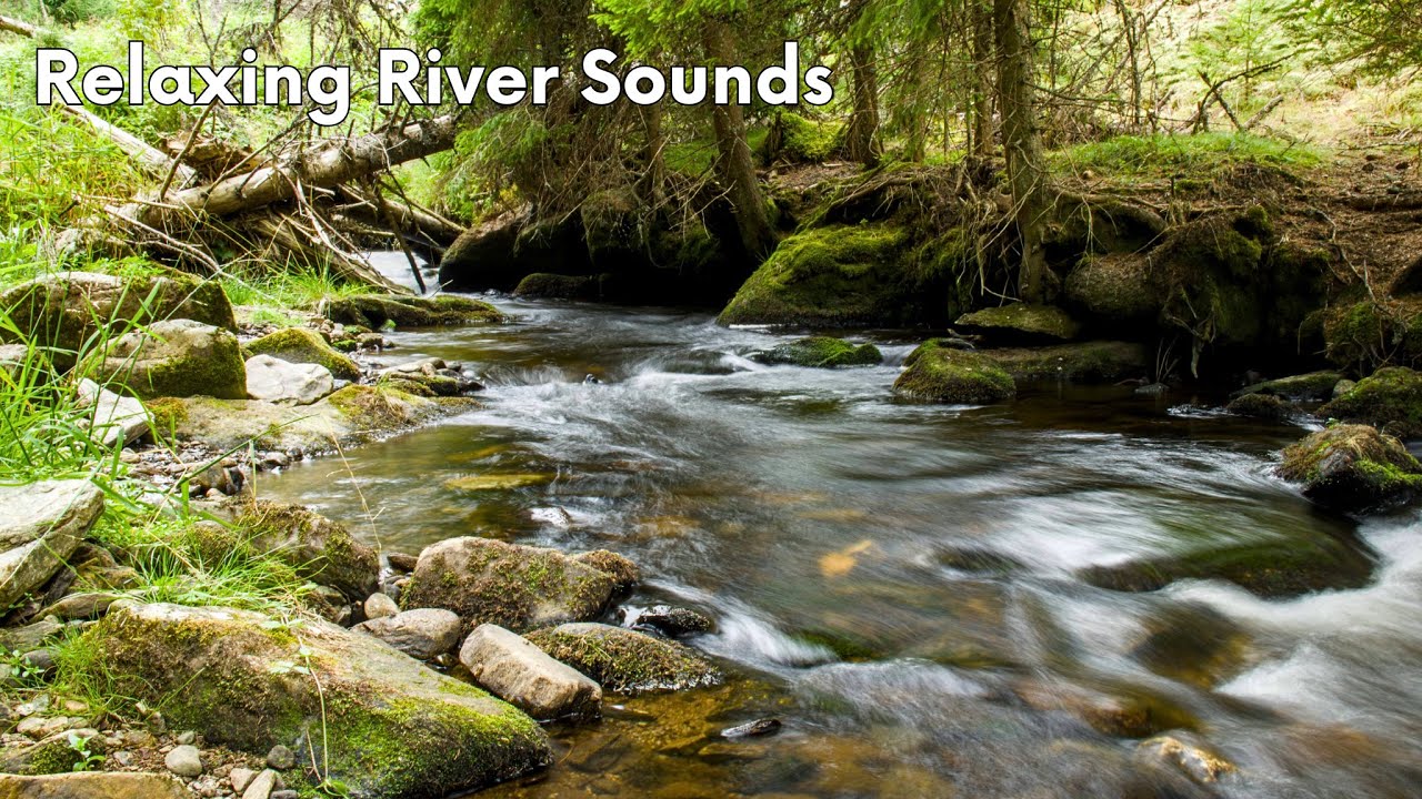 Relaxing Forest Stream Sounds (10 Hours) Calming Nature for Deep Sleep & Meditation