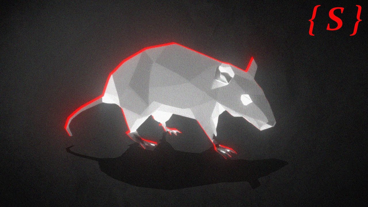 Why Isolation Kills Your Brain (The Rat Park Experiment)