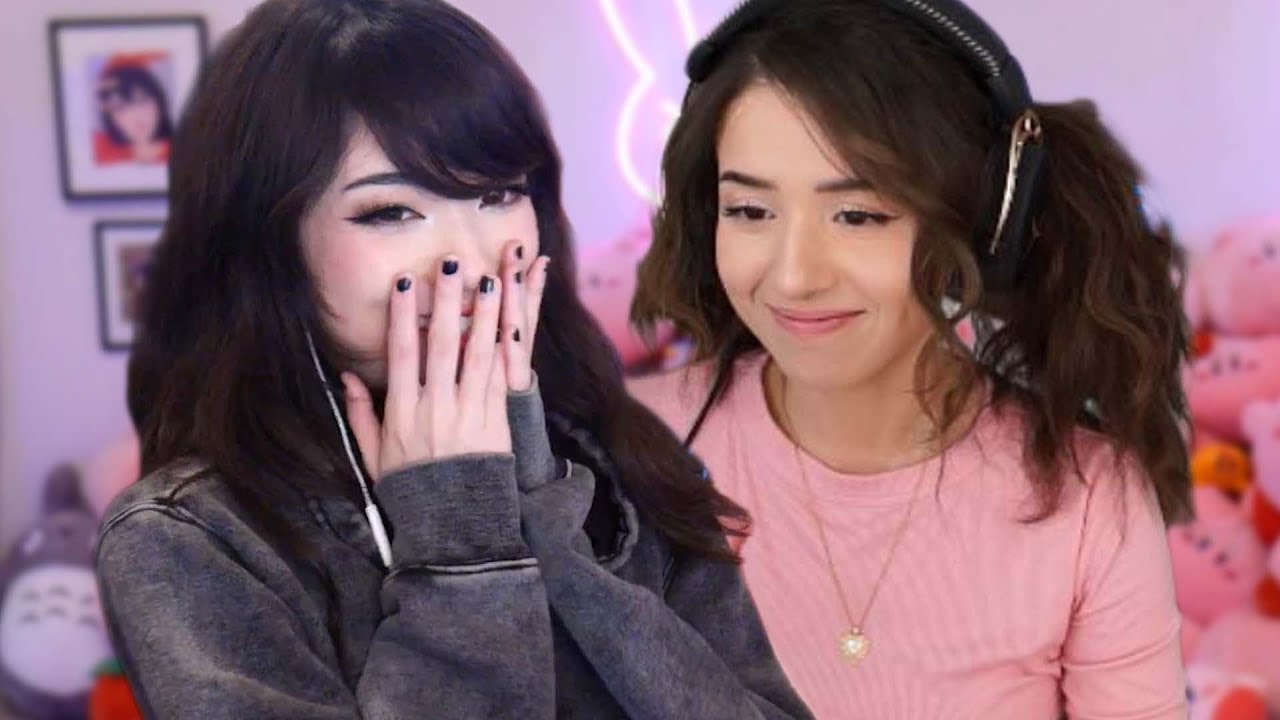 Pokimane Tried to Talk to Me...