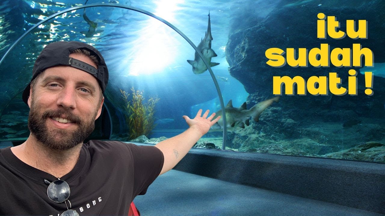 Deep under the sea! | Seaworld Ancol 2022