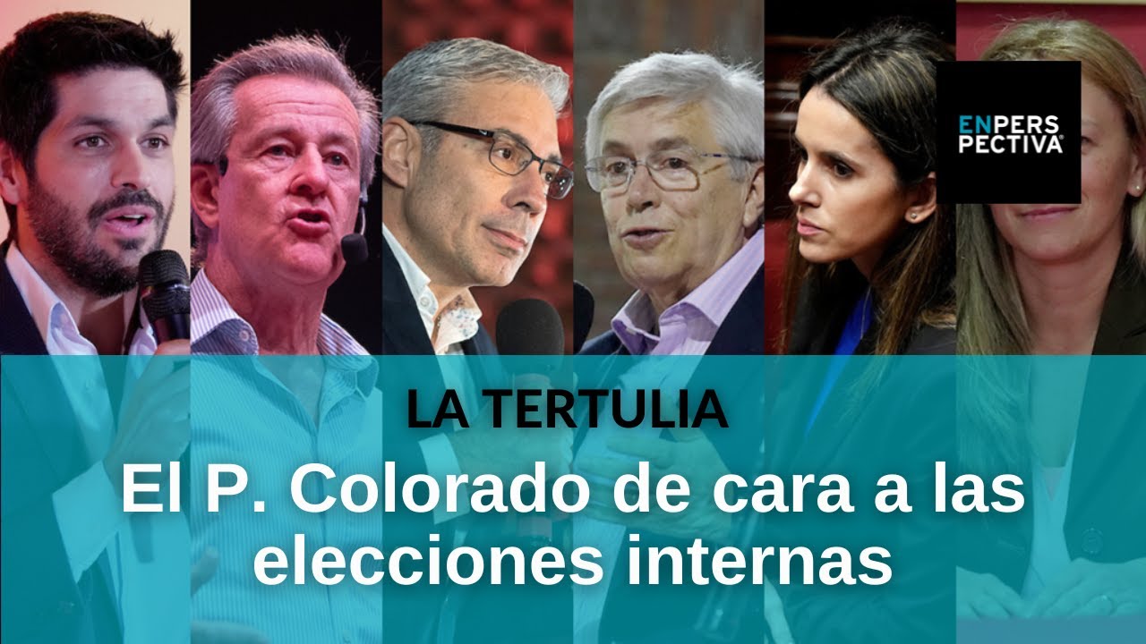Elecciones internas: ¿Cómo llega el Partido Colorado?