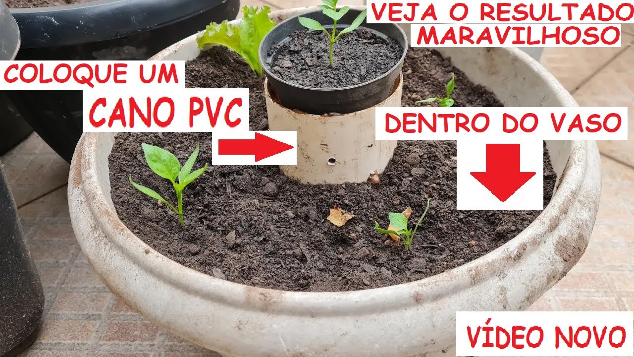 Morria e Não sabia, Coloque um cano de pvc dentro do vaso e veja o Resultado Maravilhoso!