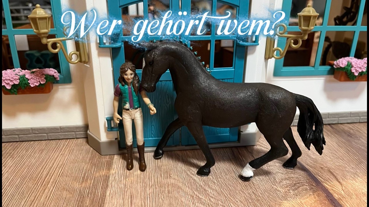 WER gehört WEM? /Schleich Video🐴