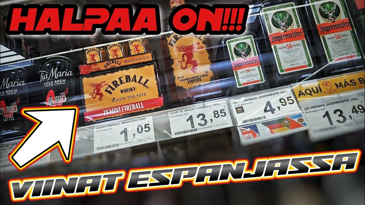 ALKOHOLIN HINNAT ESPANJASSA JA PARTURI | #dailyvlog 6