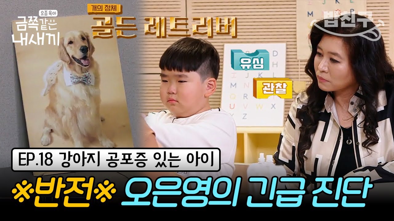 [#밥친구] (금쪽이 18회 풀버전) 